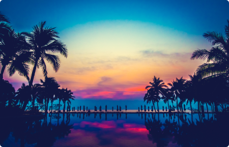 Rectangle-91-1 Rectangle-91-1 Rectangle 91 (1) Online editor access Rectangle 91 1